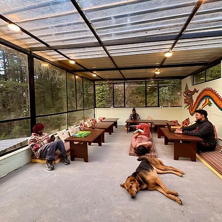 Eevolve Dharamkot - An Eco Hostel ماكليود غانج المظهر الخارجي الصورة