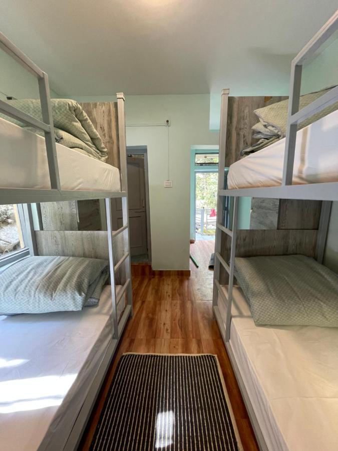 Eevolve Dharamkot - An Eco Hostel ماكليود غانج المظهر الخارجي الصورة