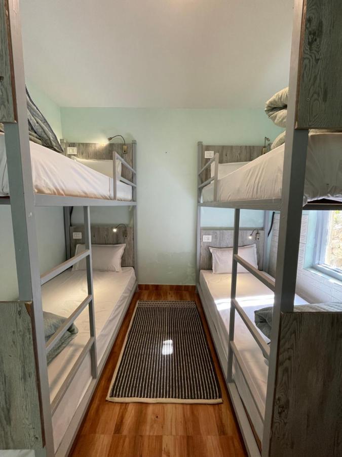 Eevolve Dharamkot - An Eco Hostel ماكليود غانج المظهر الخارجي الصورة