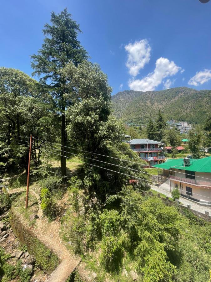 Eevolve Dharamkot - An Eco Hostel ماكليود غانج المظهر الخارجي الصورة