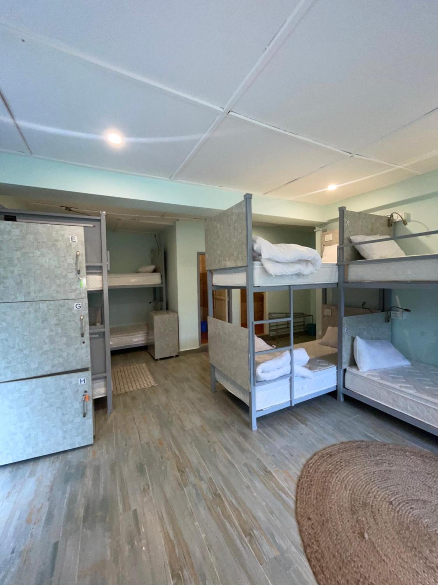 Eevolve Dharamkot - An Eco Hostel ماكليود غانج المظهر الخارجي الصورة