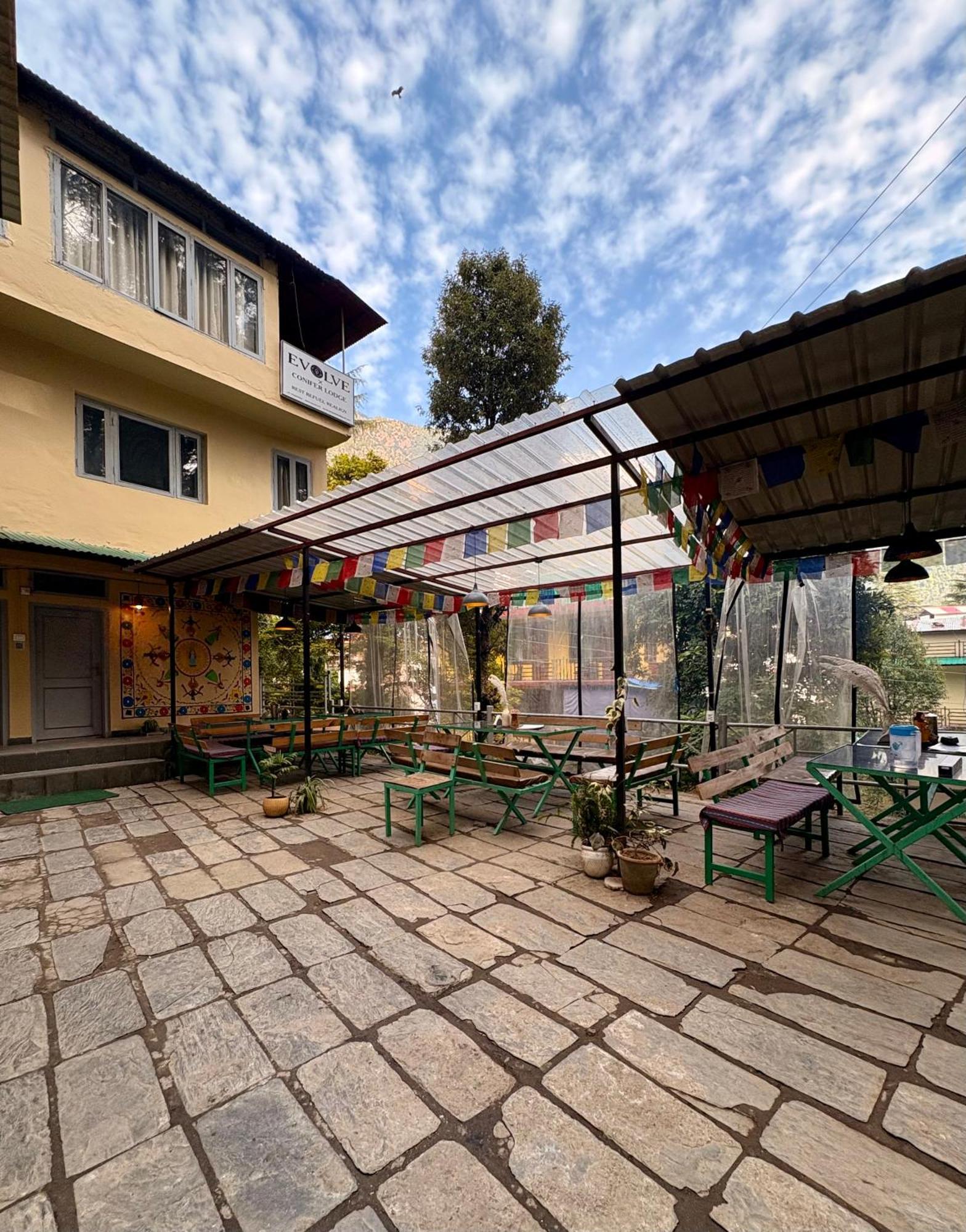 Eevolve Dharamkot - An Eco Hostel ماكليود غانج المظهر الخارجي الصورة