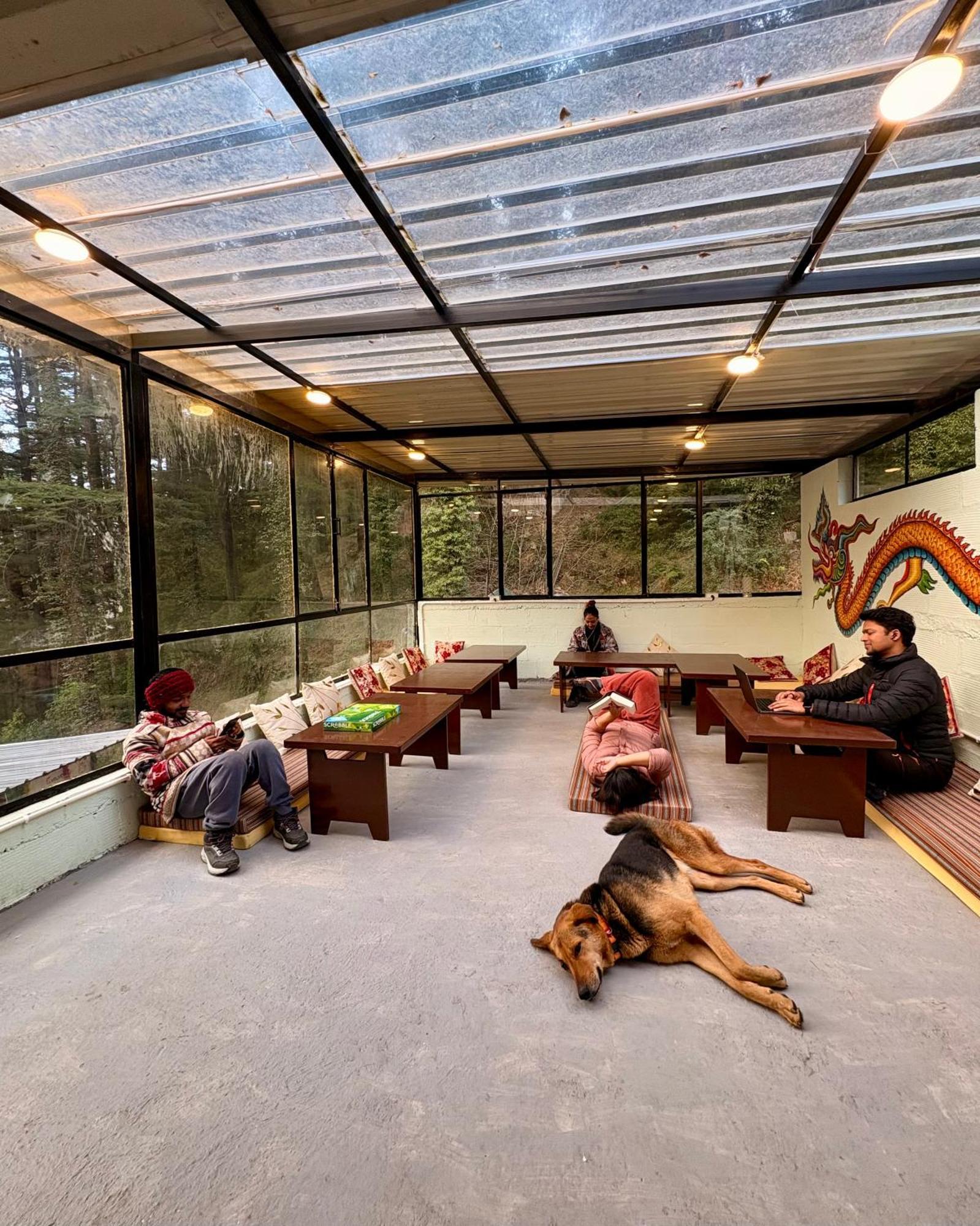 Eevolve Dharamkot - An Eco Hostel ماكليود غانج المظهر الخارجي الصورة